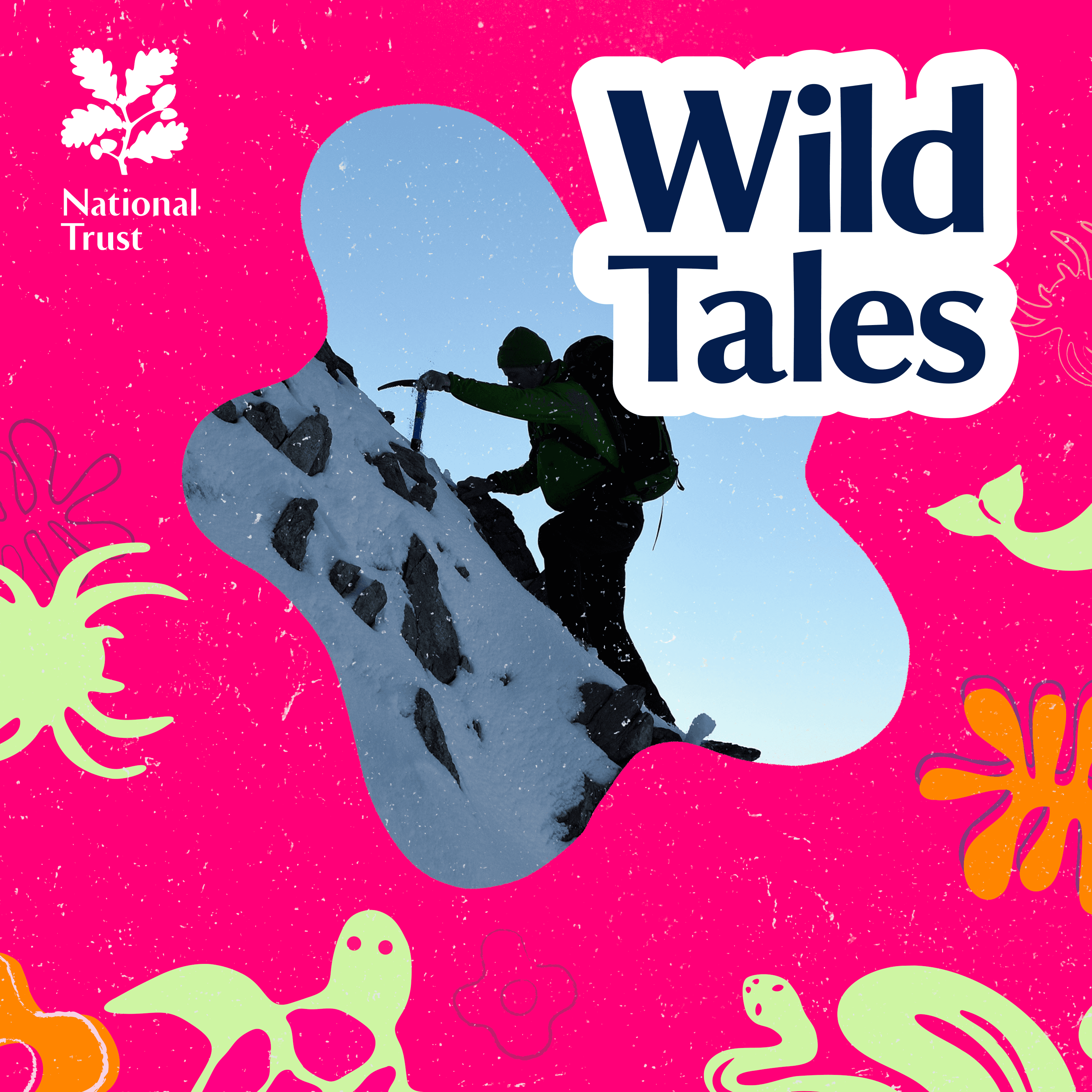 The Climbers of Eryri | A Story of Ice and Flowers - Wild Tales | Nature Podcast cover