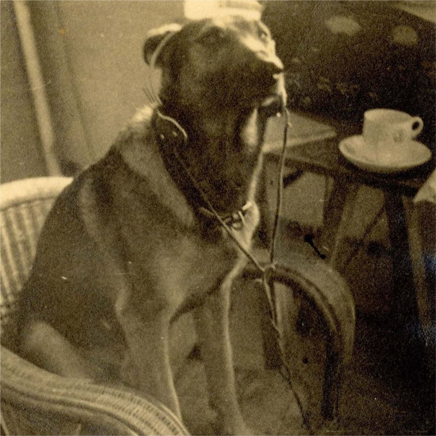 E186 - Top Secret Misinformation - Part 5 - Bletchley Park cover