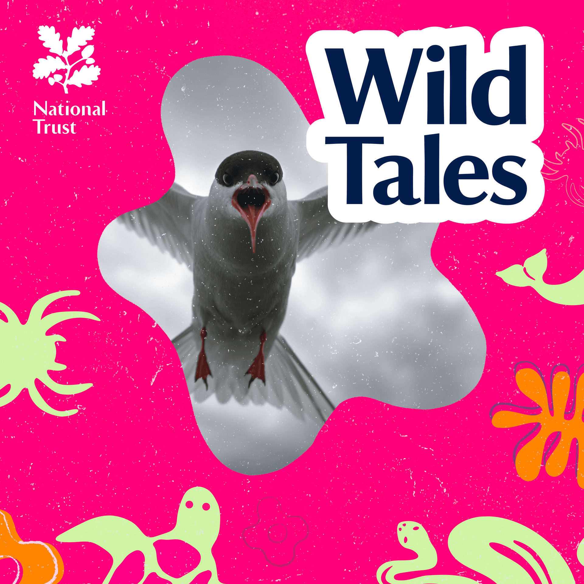 Arctic Terns | Globetrotting Dive-bombers - Wild Tales | Nature Podcast cover