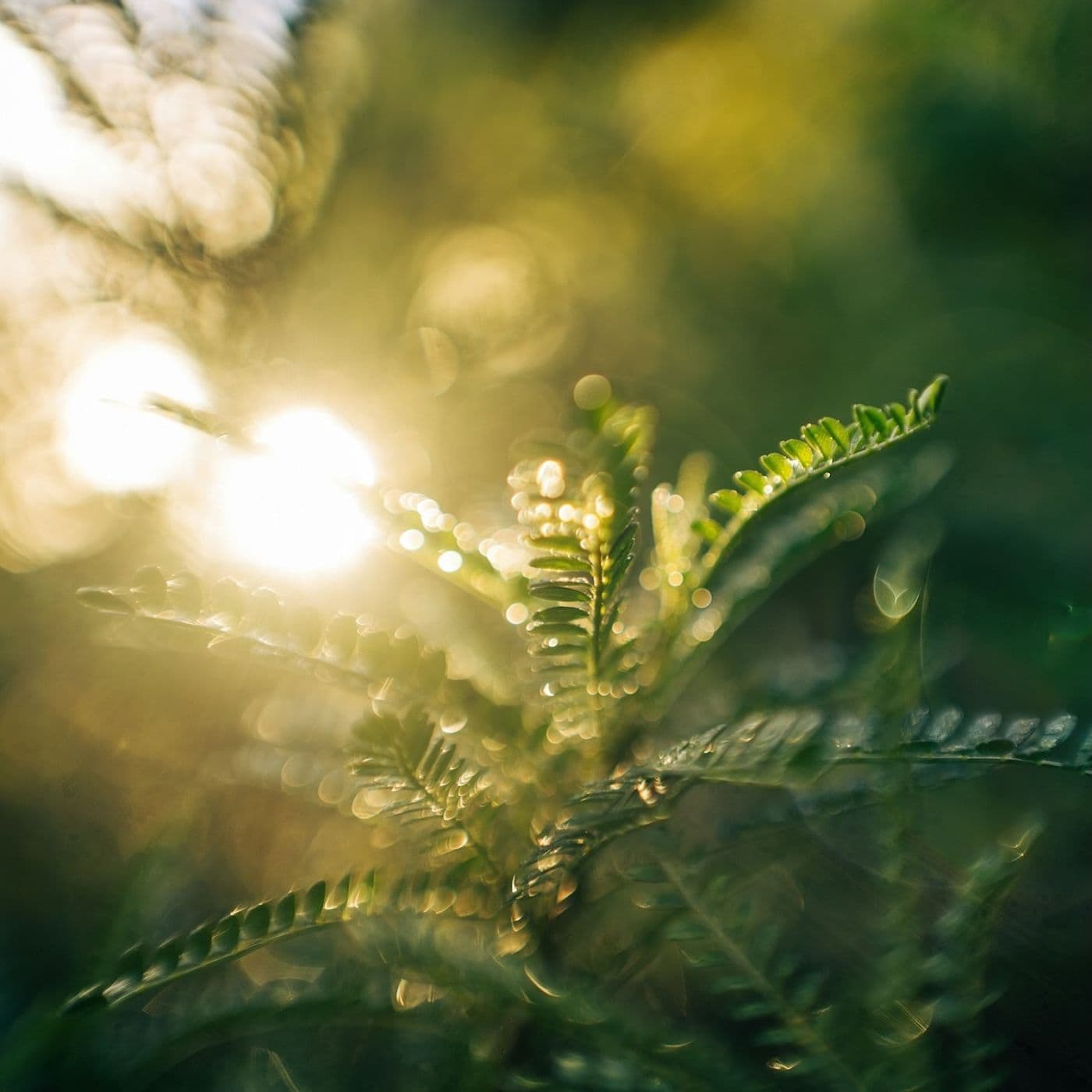 432: Everything is Beautiful and I am So Sad - Turning Towards Life - a Thirdspace podcast cover