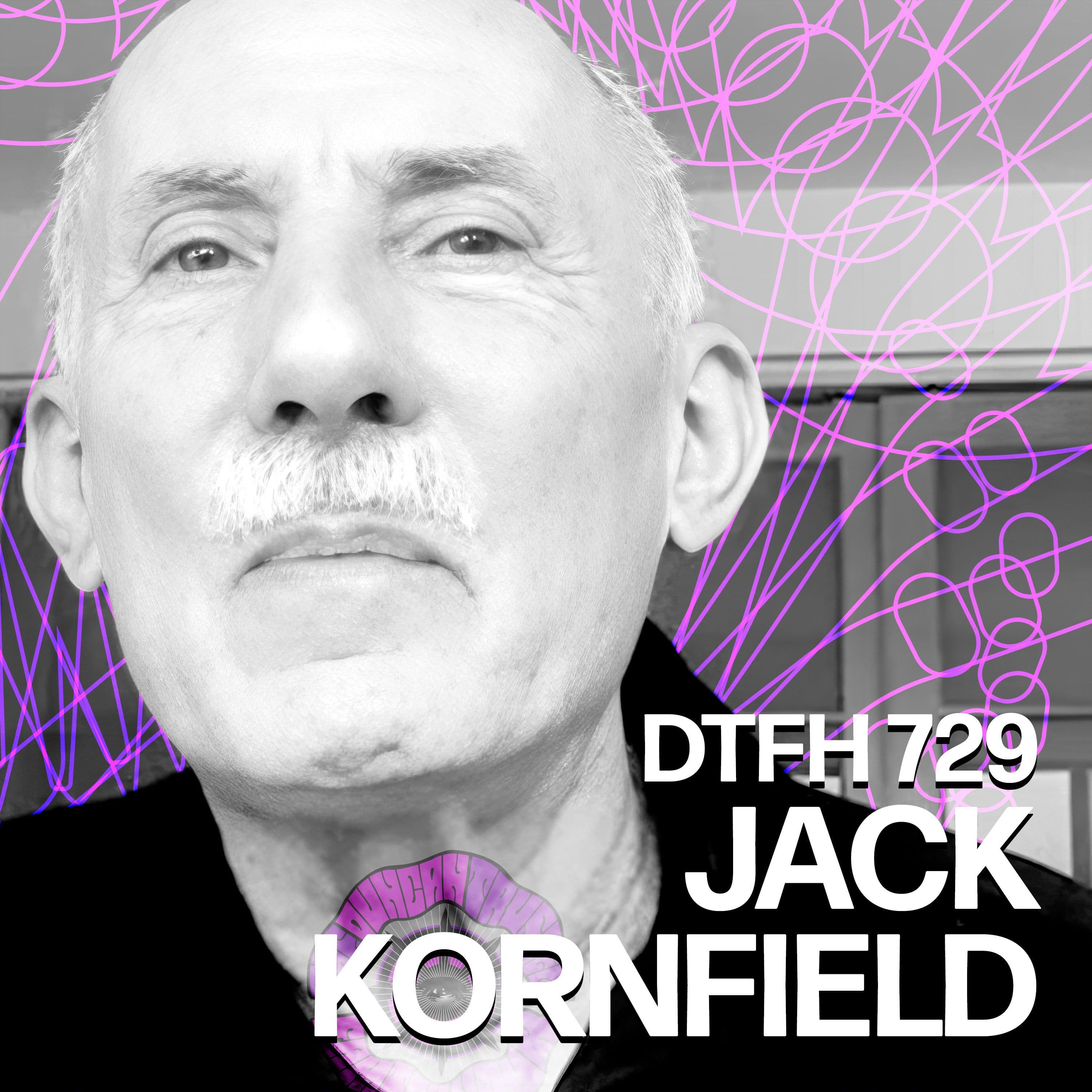 733: Jack Kornfield - Duncan Trussell Family Hour cover