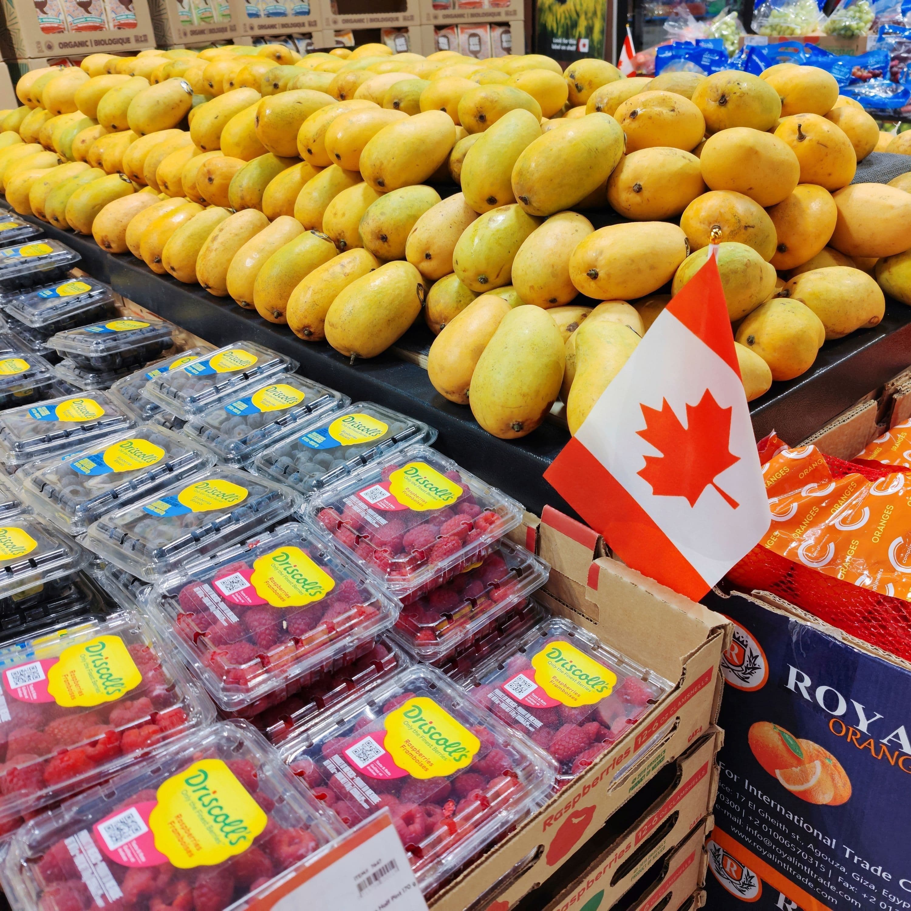 Trump's TBD Tariffs - What A Day cover