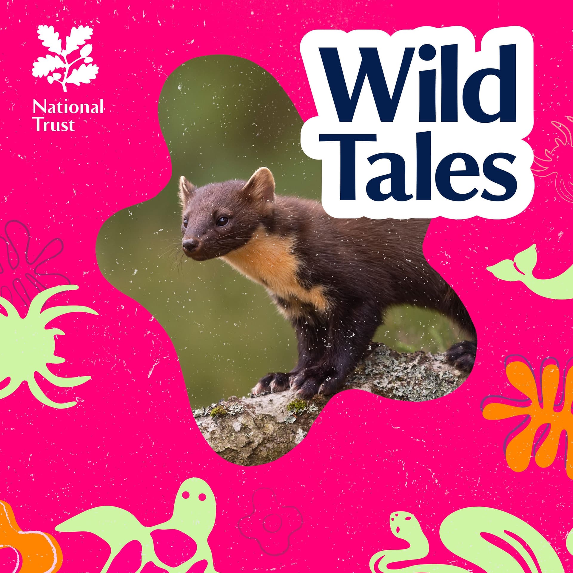 Pine Martens’ Return - Wild Tales | Nature Podcast cover