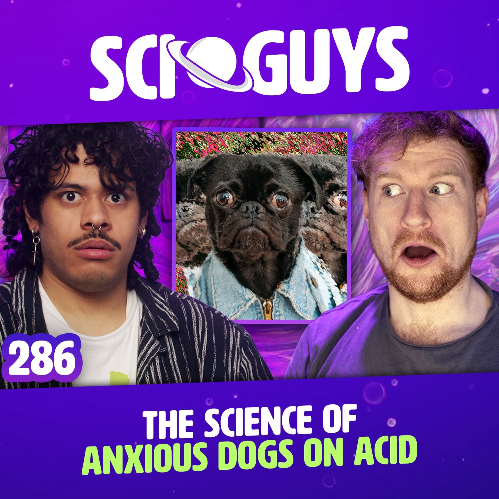 286: The Science of Dogs on Acid - Sci Guys cover