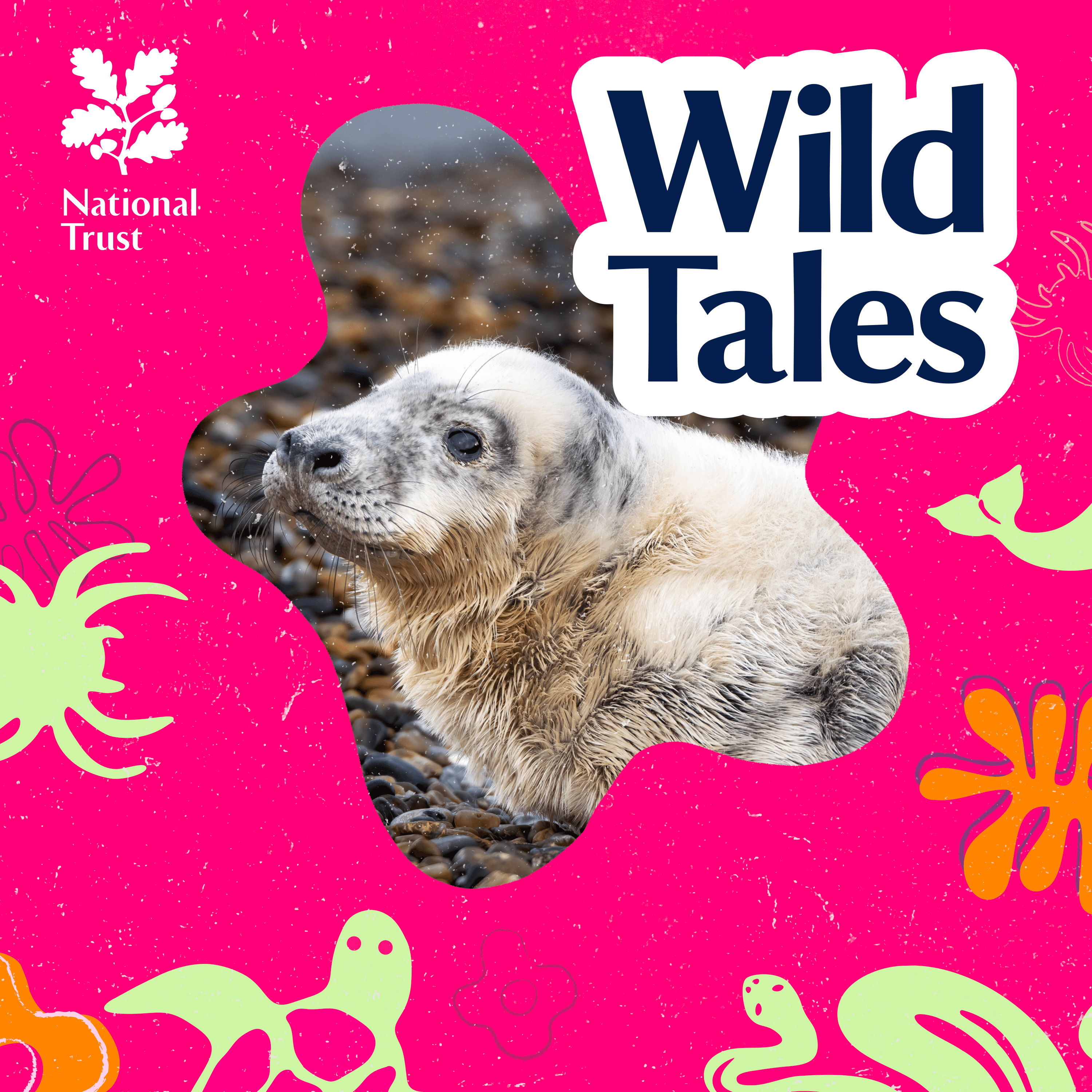 The Island of Secret Seals - Wild Tales | Nature Podcast cover