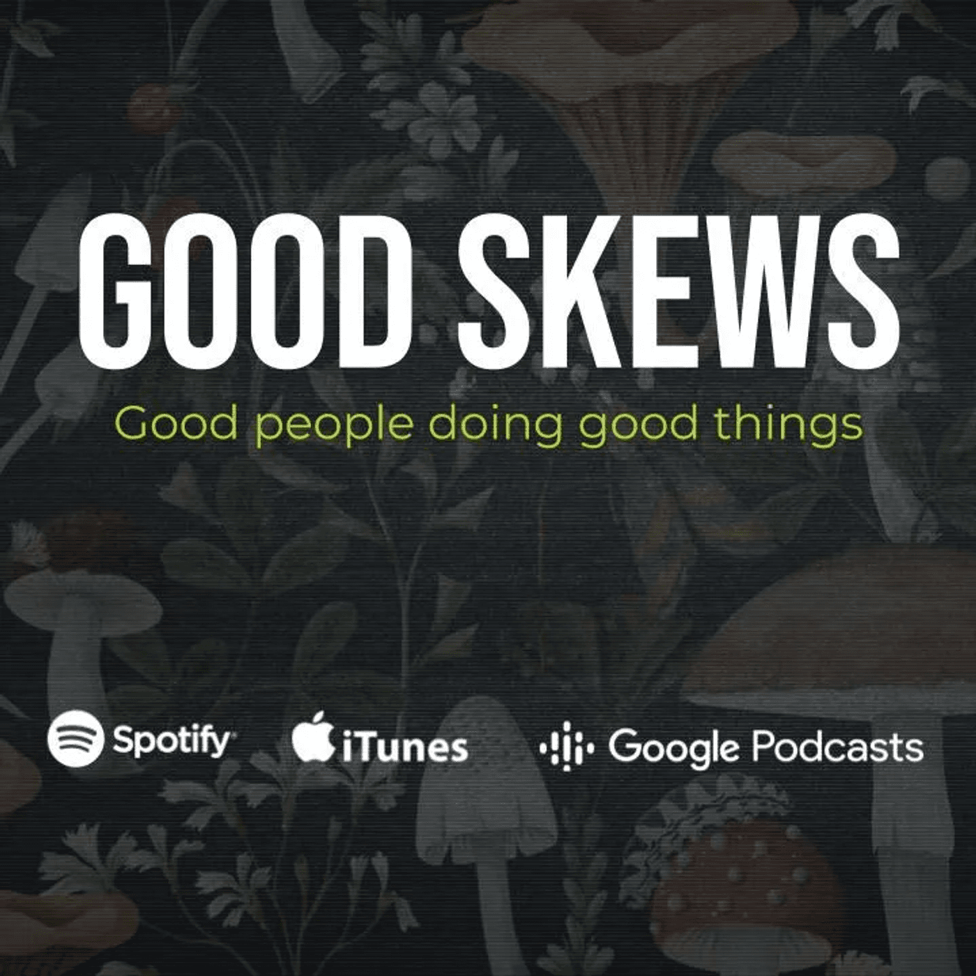 S6 Ep9: Good Skews - Organizing Against Rural ICE Detention Facilities with Megan Kocher - Weekly Skews cover