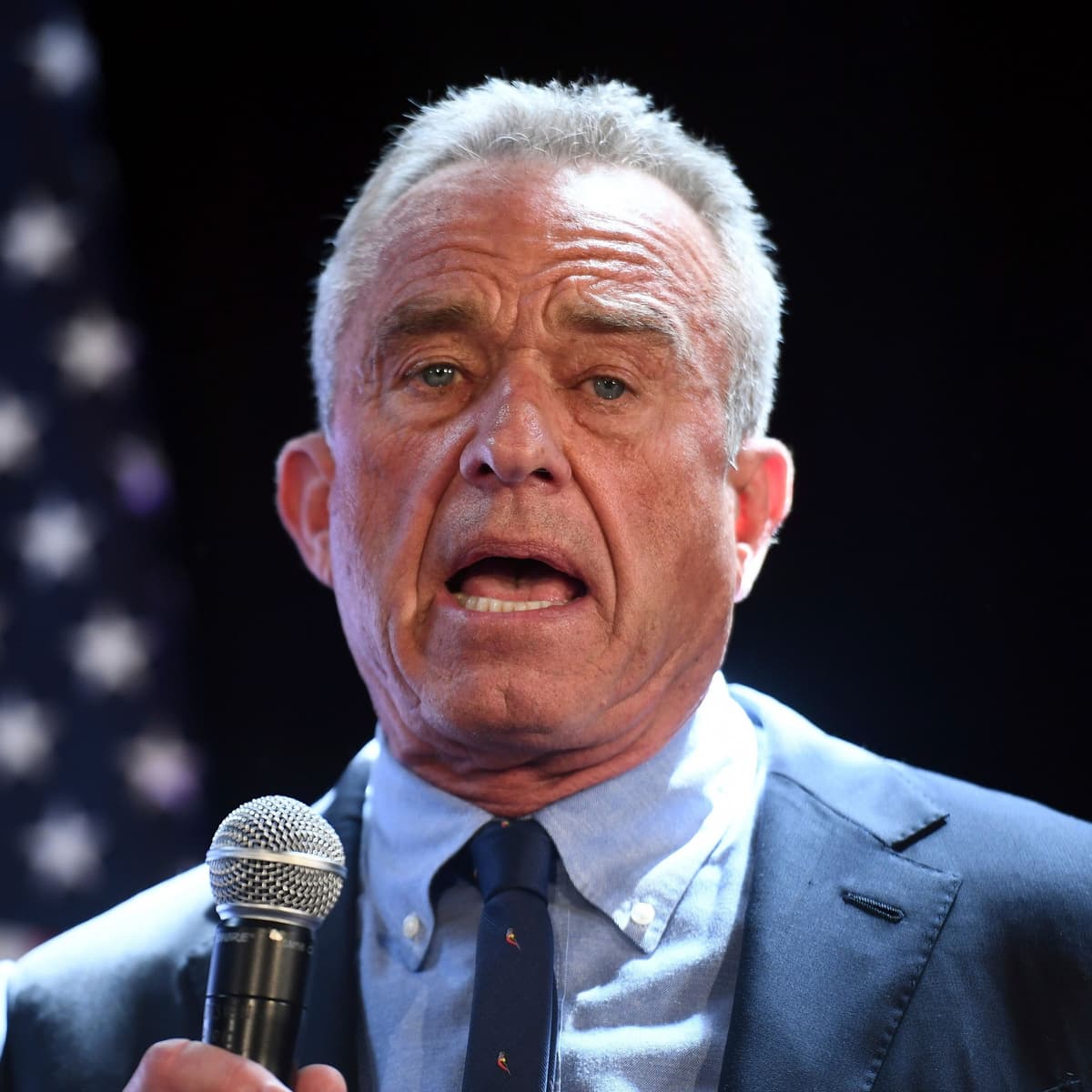 The MAGA Health Movement - What A Day cover