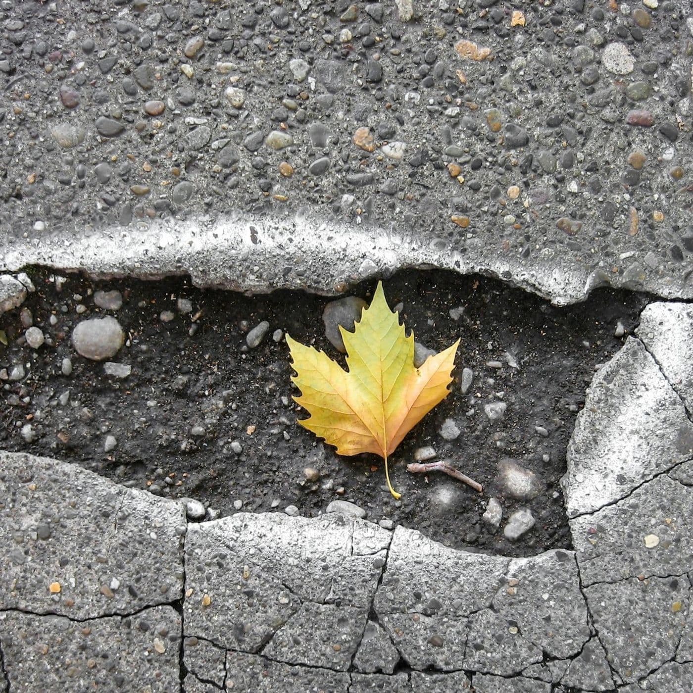 437: Autobiography in Five Chapters - Turning Towards Life - a Thirdspace podcast cover