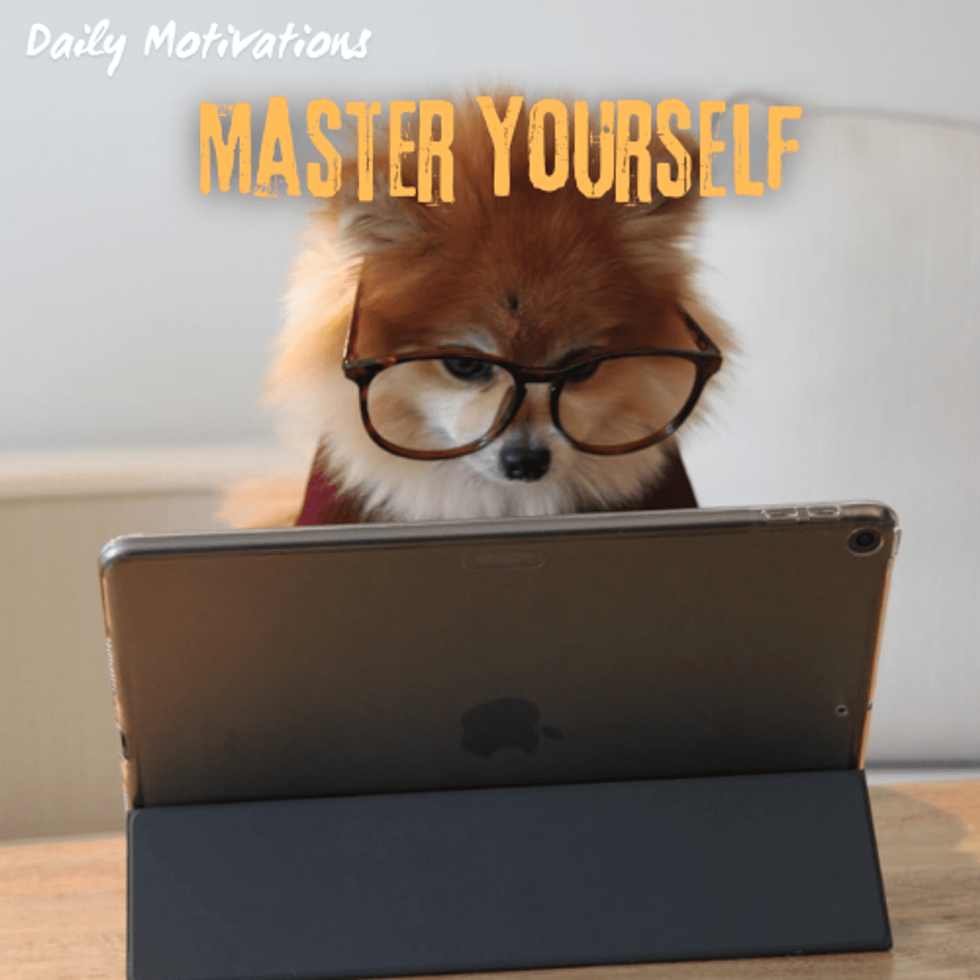 MASTER YOURSELF - Daily Motivations cover