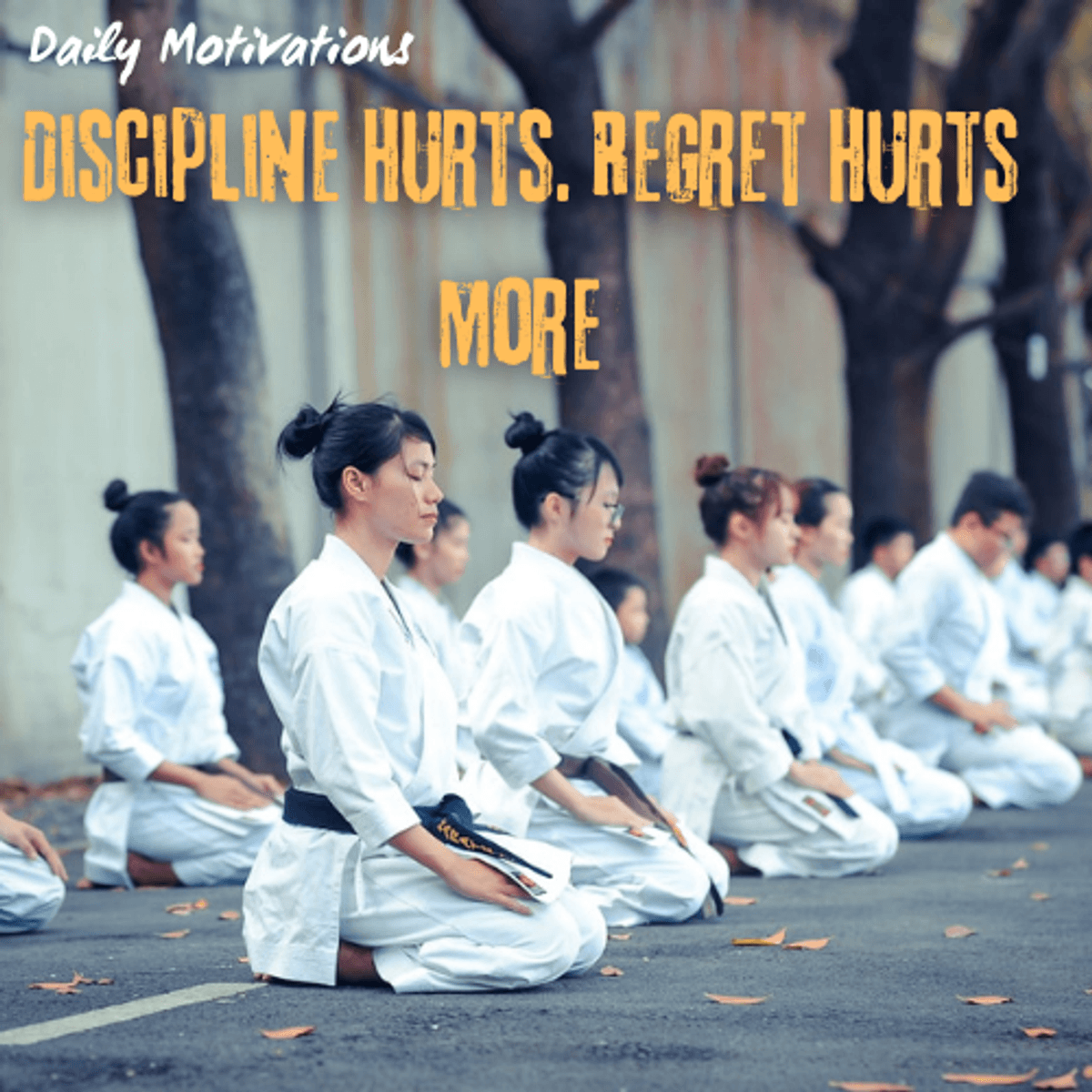Discipline Hurts. Regret Hurts More. - Daily Motivations cover