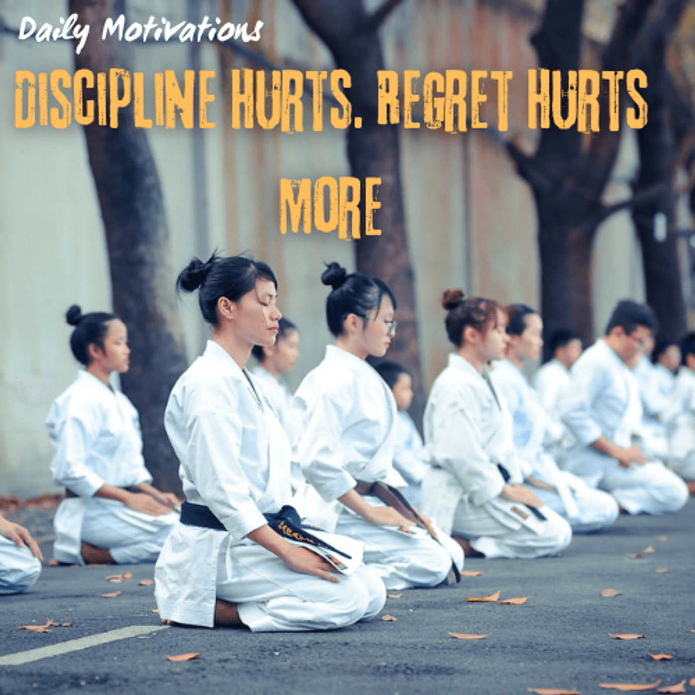 Discipline Hurts. Regret Hurts More. - Daily Motivations cover