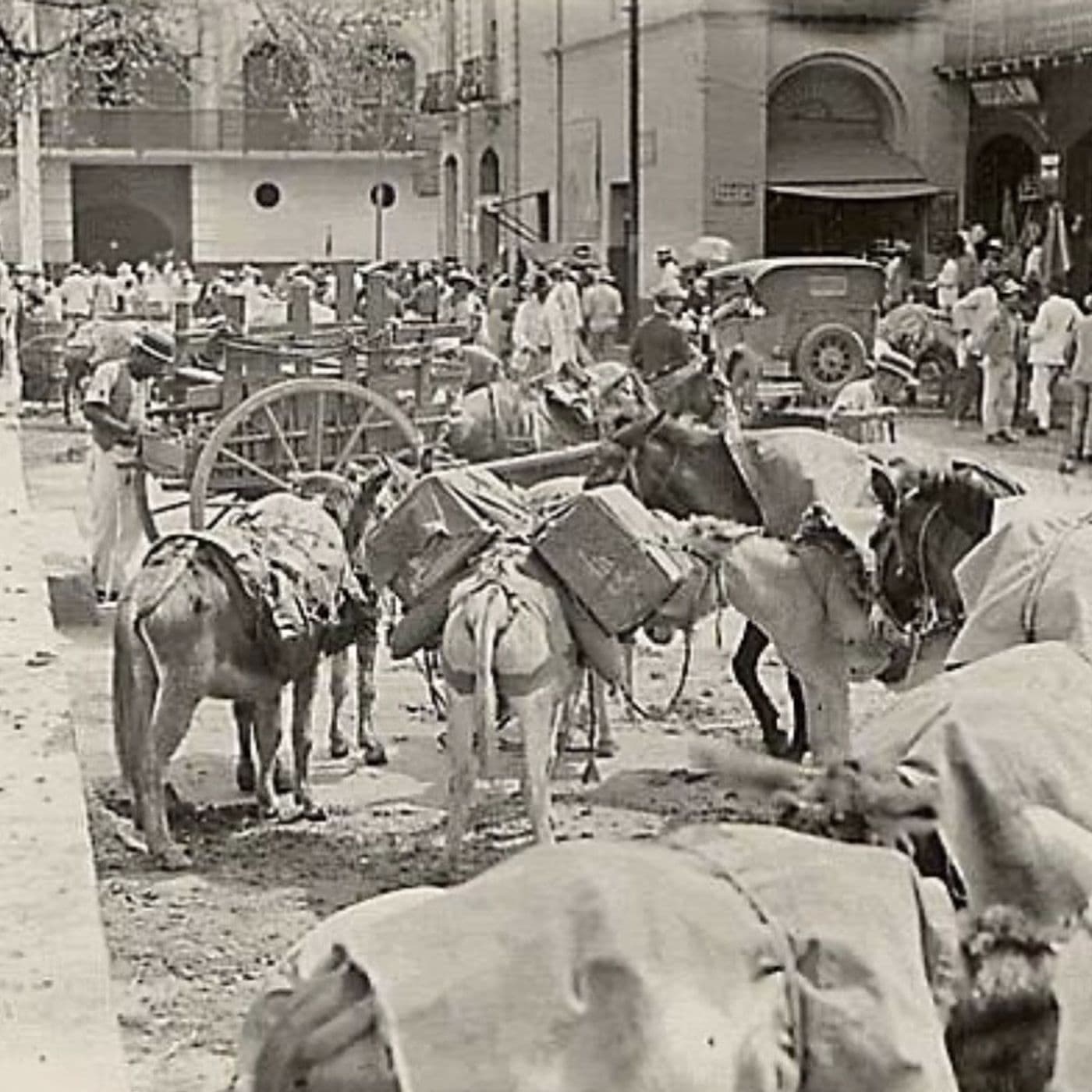 S8 Ep545: SHOW SCHEDULE 3-5-2016 1895 CARACAS - The John Batchelor Show cover