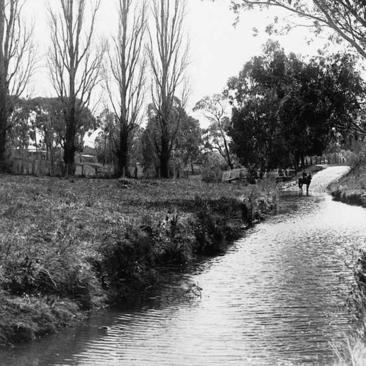 S8 Ep551: 1. Jeremy Zakis details severe flooding in northern Australia, explaining how Queensland’s unique geography traps water. He also warns about bull sharks appearing in flooded rivers. (26) - The John Batchelor Show cover