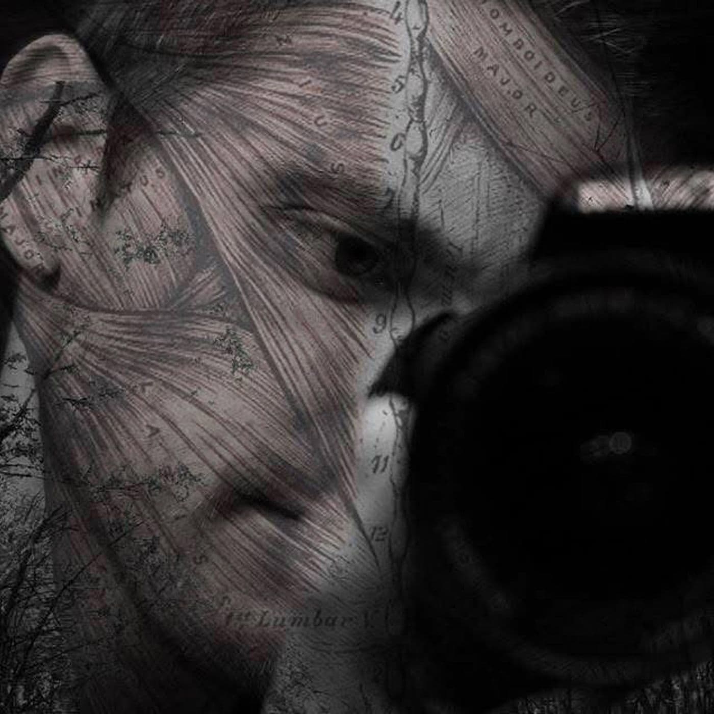 260: Guest Chat with Lawrence Milano - Middle Aged And Creeped Out podcast cover