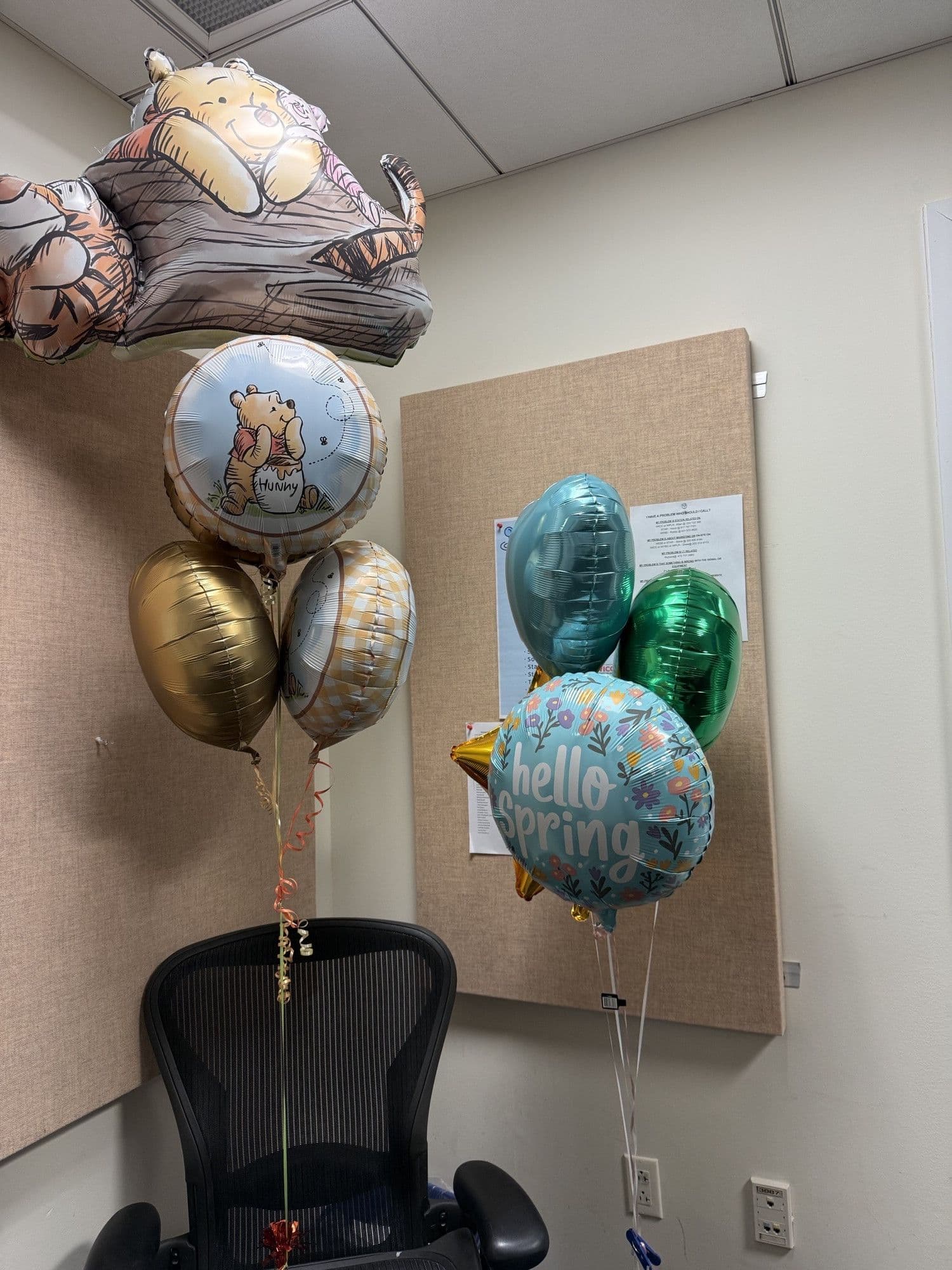 Melissa in the Morning: Potential Ban on Helium — WICC The Voice of Connecticut cover