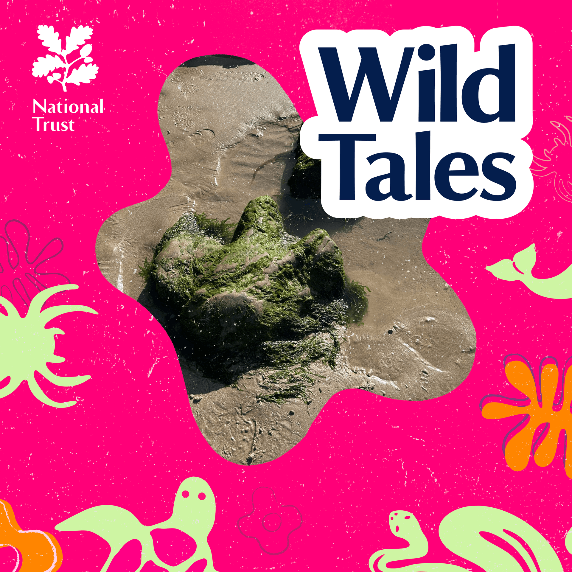 The Dinosaur in the Cliff - Wild Tales | Nature Podcast cover