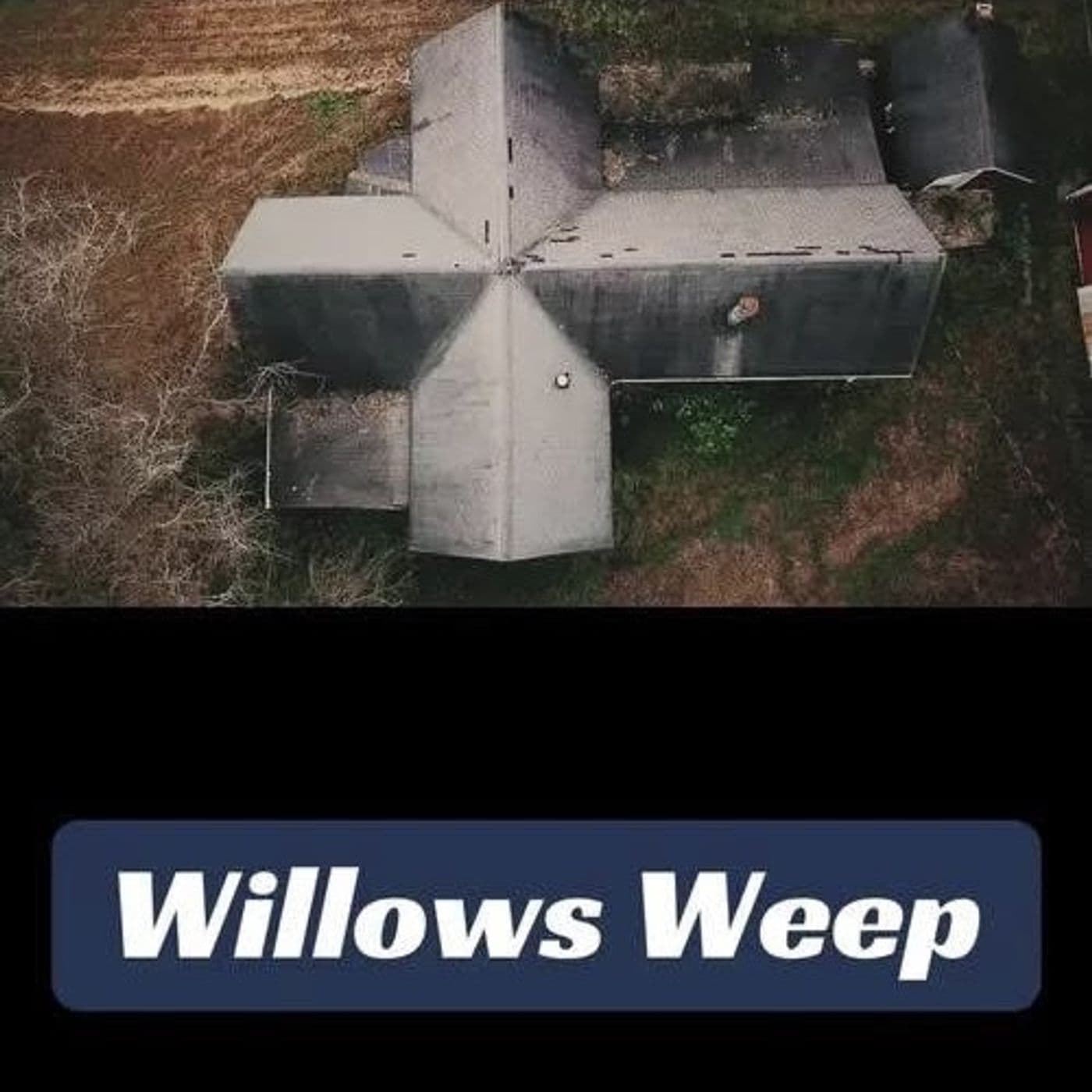 Middle Aged Mini #247 - Willows Weep House - Middle Aged And Creeped Out podcast cover