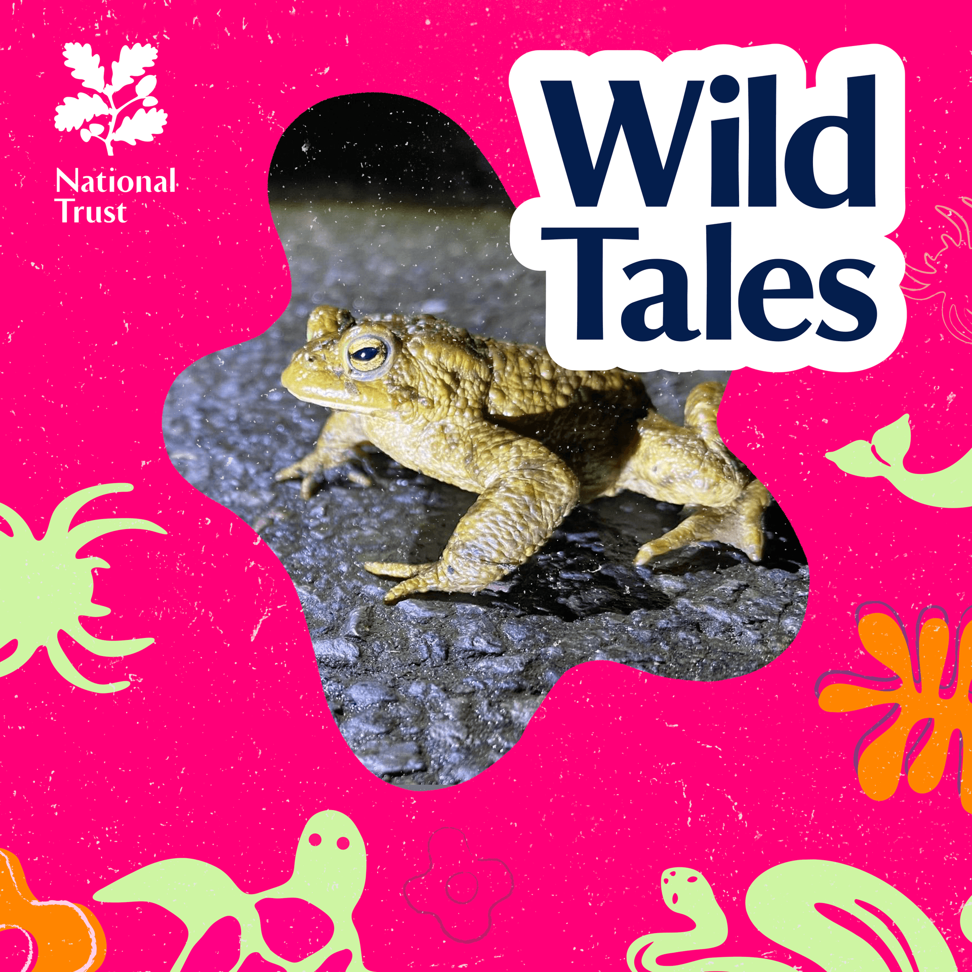 Toad Patrol | The Perilous Path - Wild Tales | Nature Podcast cover