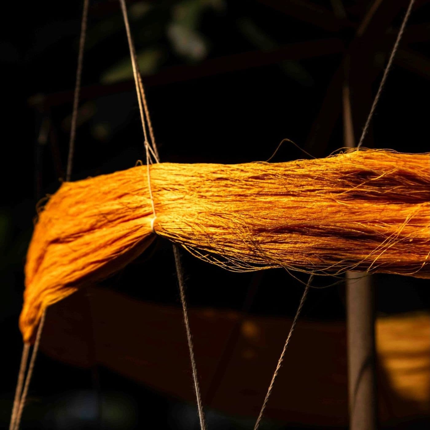 442: The Great Weave of Nature and Humanity - Turning Towards Life - a Thirdspace podcast cover