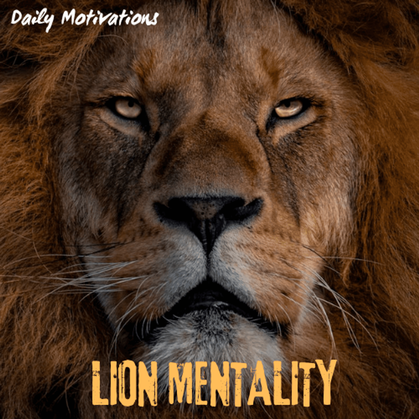 LION MENTALITY - Daily Motivations cover