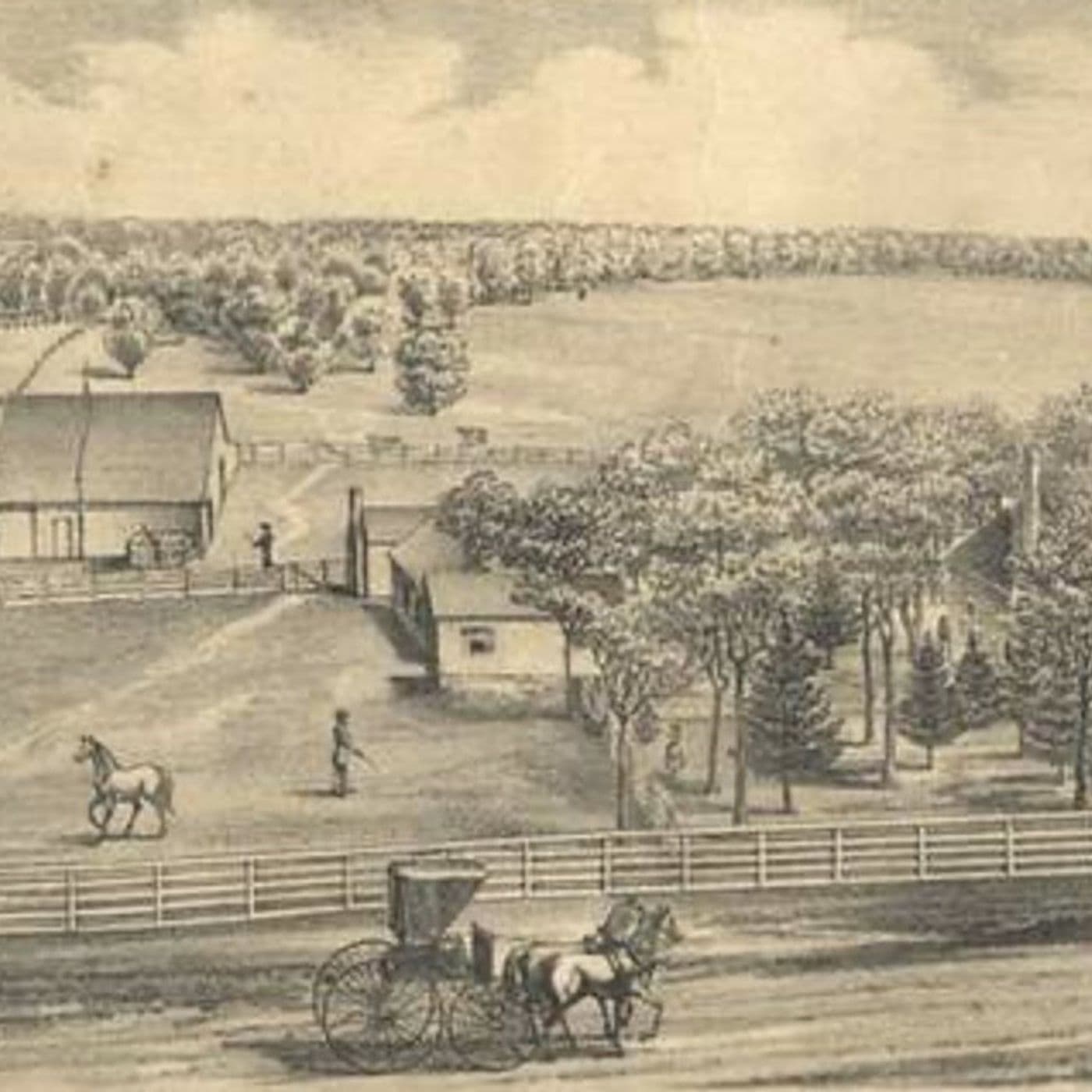 S8 Ep727: 10. Professor Daniel Rood: Daniel Rood discusses General Sherman’s march through Georgia and the missed opportunity to dismantle the plantation system during Reconstruction. The segment covers Field Order 15, the impact of Lincoln’s assassin... - The John Batchelor Show cover