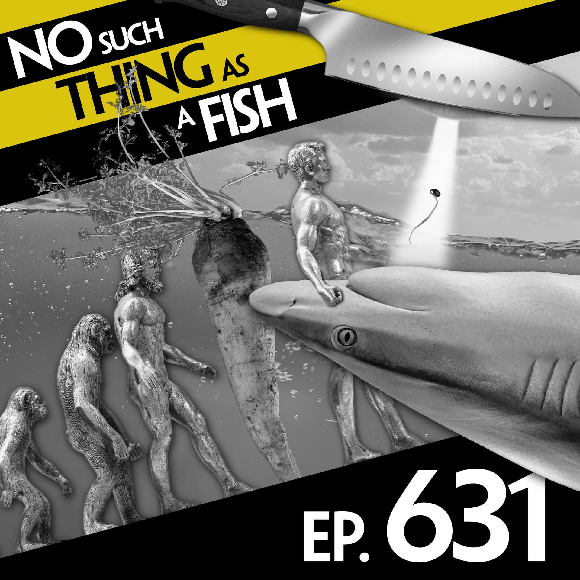 No Such Thing As A Second-Placed Helmet - No Such Thing As A Fish cover