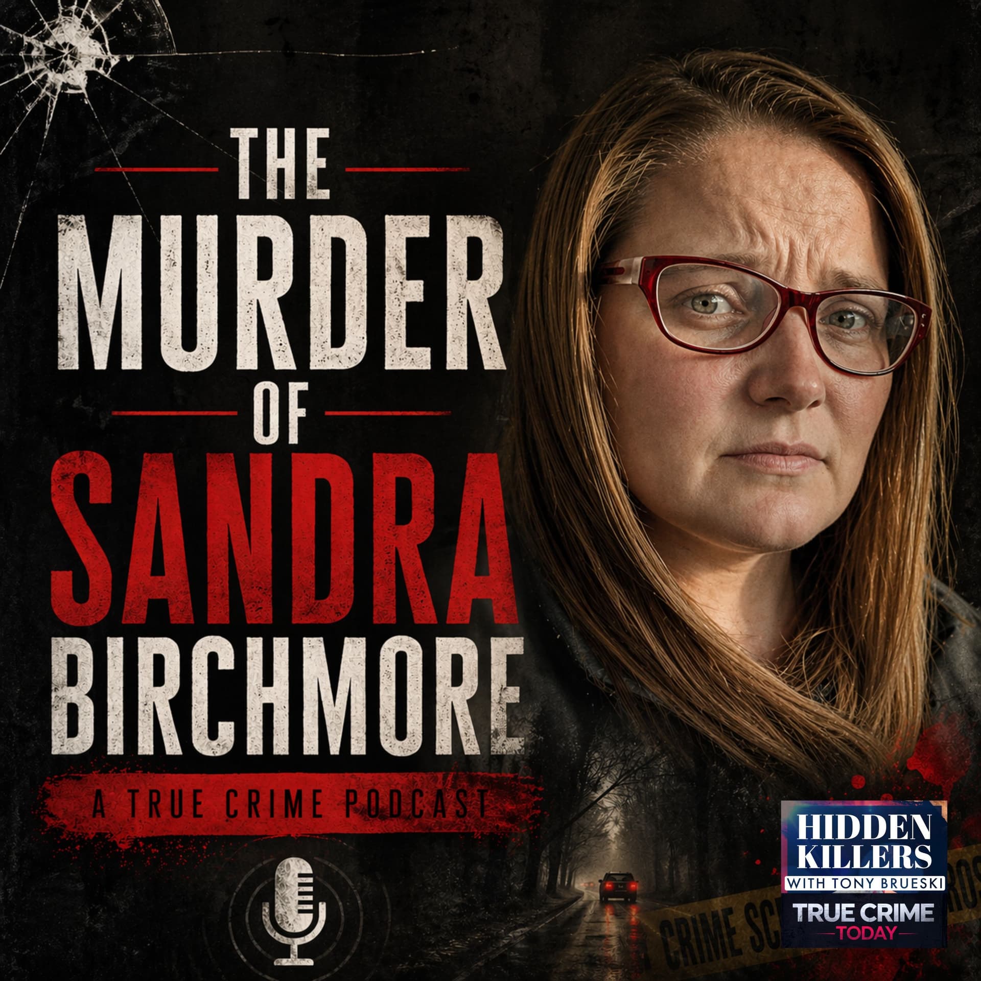 The Murder Of Sandra Birchmore cover