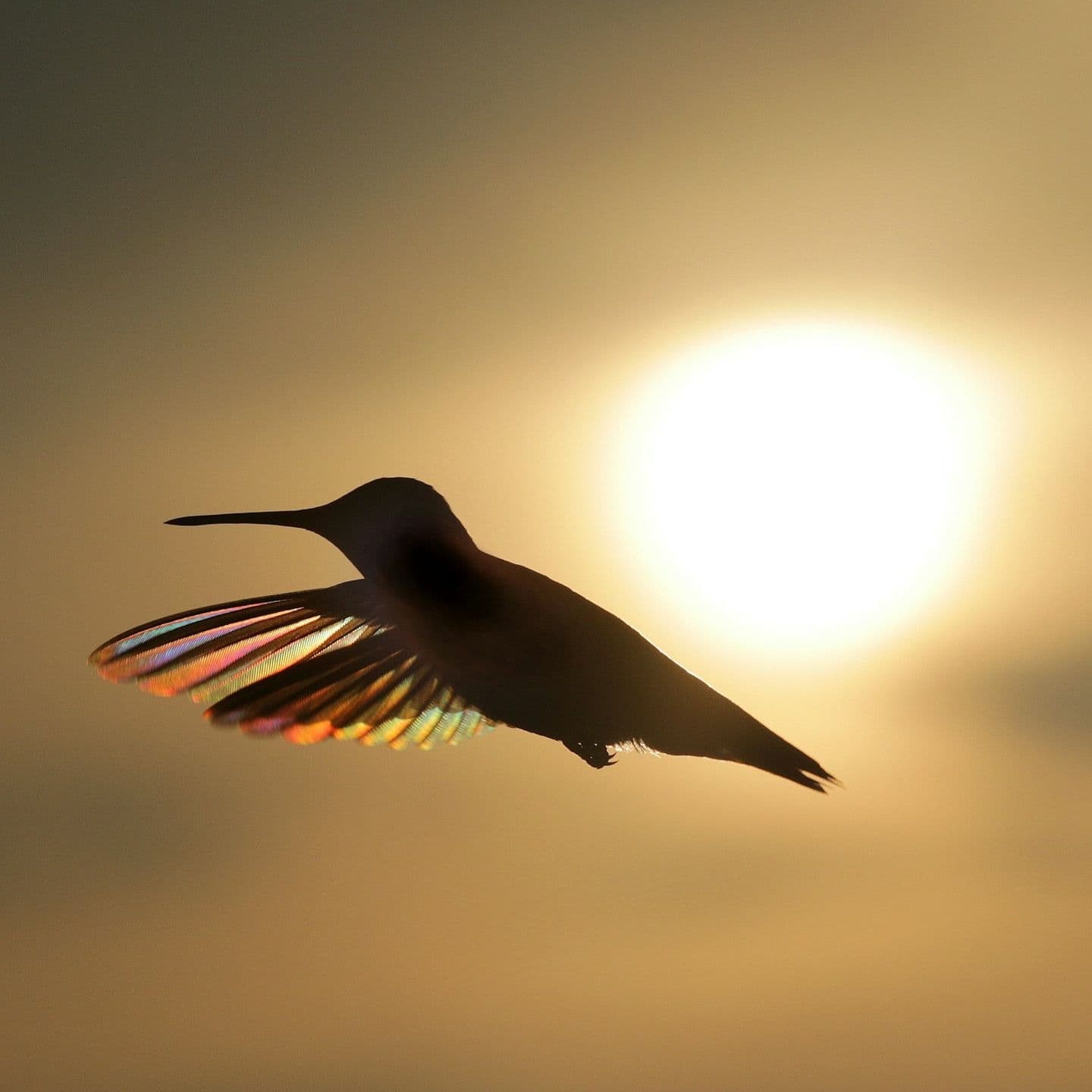 446: With Equal Reverence Towards Sorrow and Joy — Turning Towards Life - a Thirdspace podcast cover