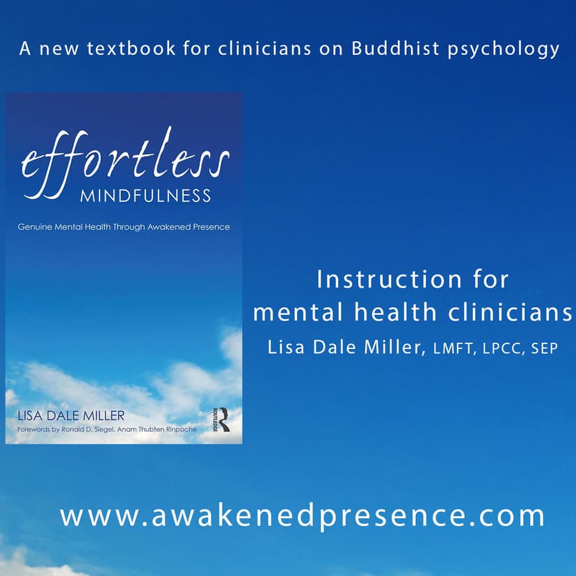 Introducing Effortless Mindfulness cover