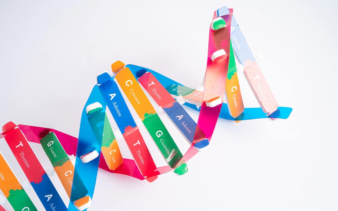 Can Mutations Create New Information? - Creation Article Podcast cover