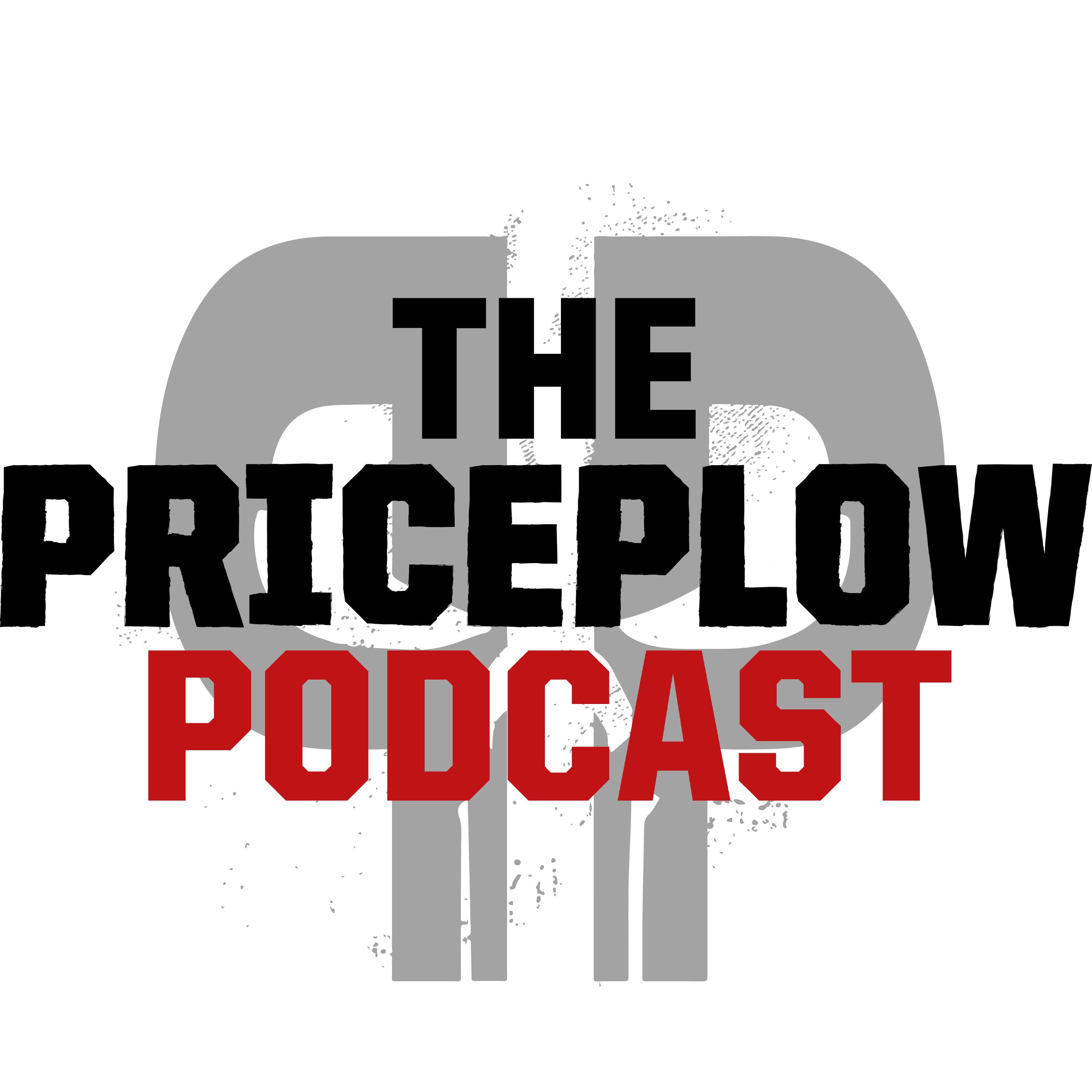 The PricePlow Podcast cover