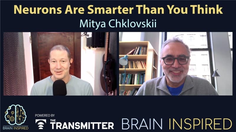 BI 205 Dmitri Chklovskii: Neurons Are Smarter Than You Think - Brain Inspired cover