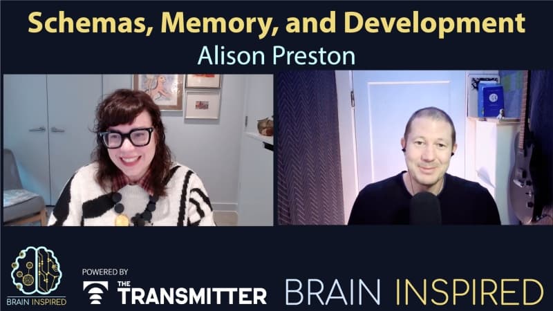 BI 207 Alison Preston: Schemas in our Brains and Minds — Brain Inspired cover