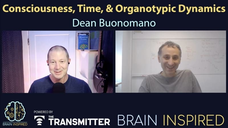 BI 210 Dean Buonomano: Consciousness, Time, and Organotypic Dynamics - Brain Inspired cover