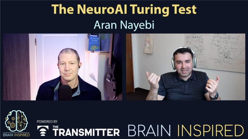 BI 209 Aran Nayebi: The NeuroAI Turing Test — Brain Inspired cover