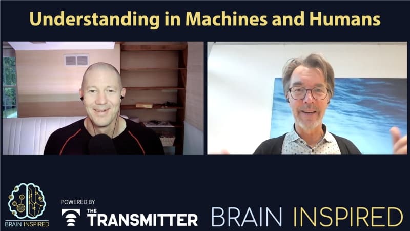 BI 225 Henk De Regt: Understanding in Machines and Humans — Brain Inspired cover