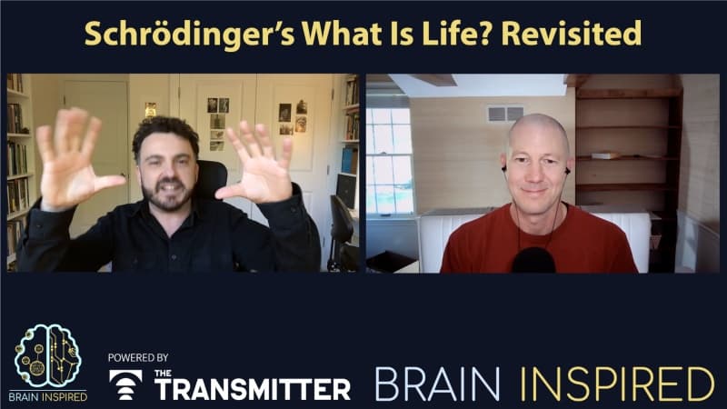 BI 224 Dan Nicholson: Schrödinger’s What is Life? Revisited — Brain Inspired cover