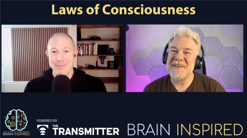 BI 228 Alex Maier: Laws of Consciousness — Brain Inspired cover