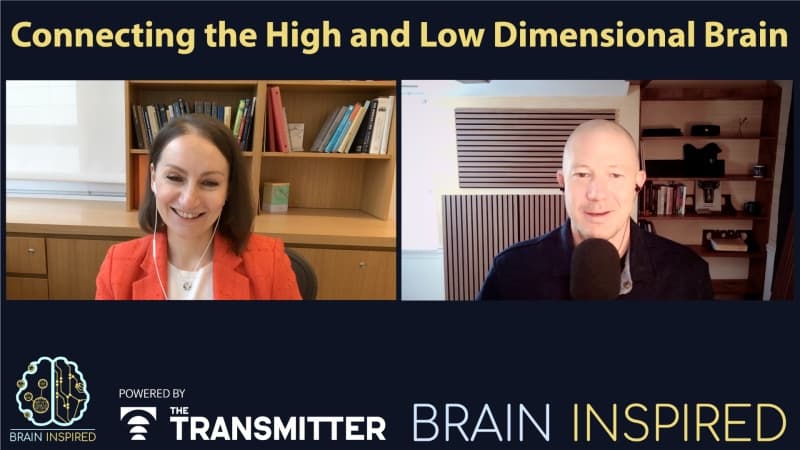 BI 226 Tatiana Engel: The High and Low Dimensional Brain — Brain Inspired cover