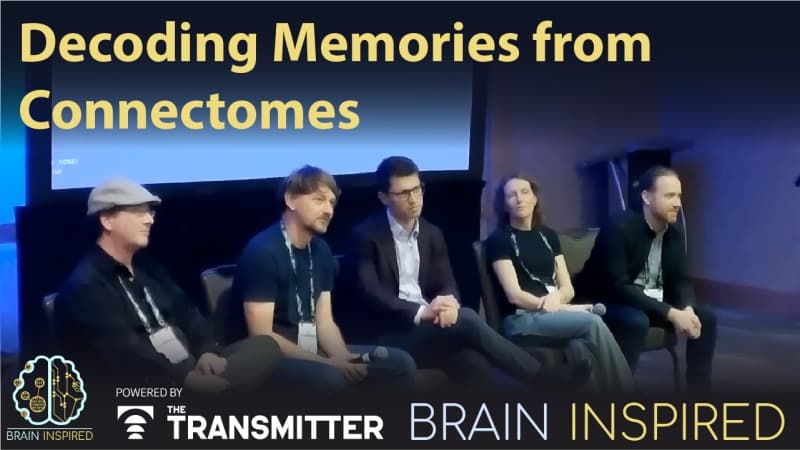 BI 227 Decoding Memories: Aspirational Neuroscience 2025 - Brain Inspired cover