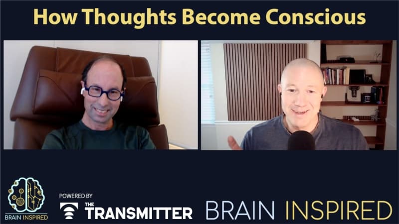 BI 230 Michael Shadlen: How Thoughts Become Conscious - Brain Inspired cover