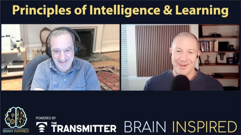 BI 229 Tomaso Poggio: Principles of Intelligence and Learning - Brain Inspired cover