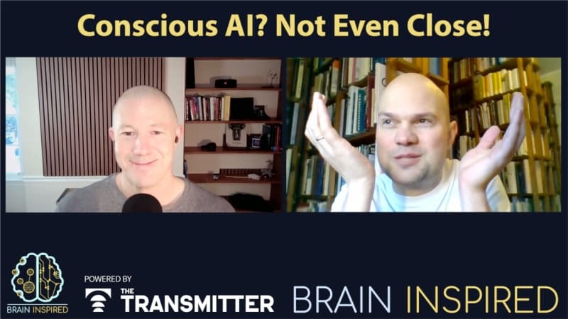 BI 231 Jaan Aru: Conscious AI? Not Even Close! - Brain Inspired cover