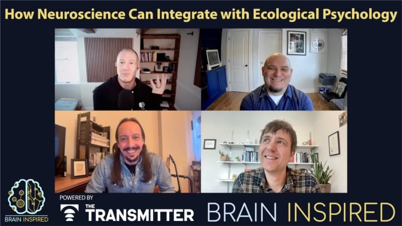 BI 232 How Should Neuroscience Integrate with Ecological Psychology? - Brain Inspired cover