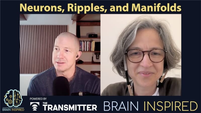BI 236 Liset de la Prida: Neurons, Ripples, and Manifolds - Brain Inspired cover
