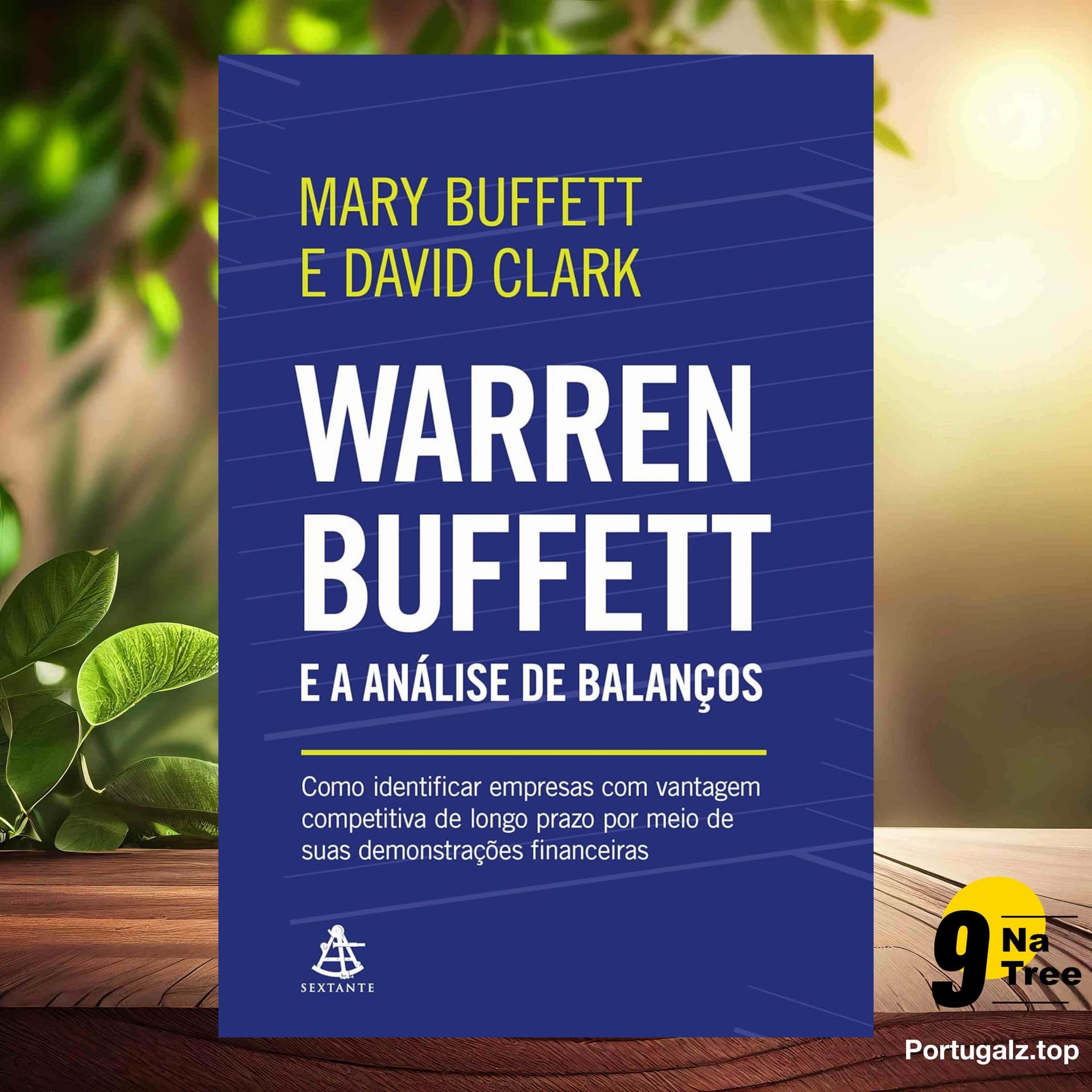 [Análises] Warren Buffett e a análise de balanços (Mary Buffett) Resumidos. — 9Natree Brazil cover