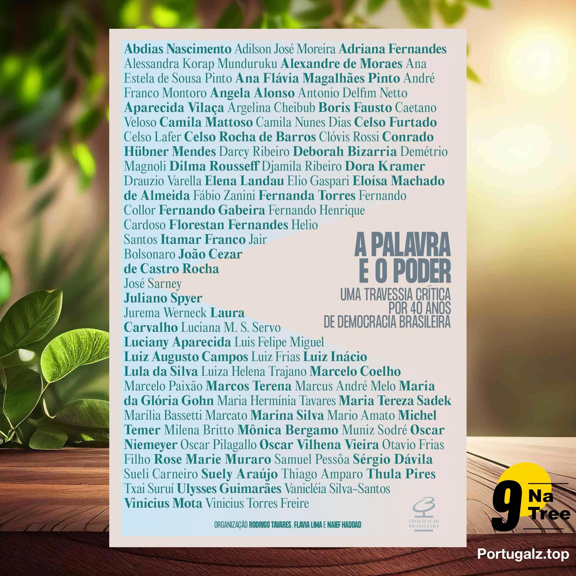 [Análises] A palavra e o poder (Rodrigo Tavares) Resumidos. - 9Natree Brazil cover