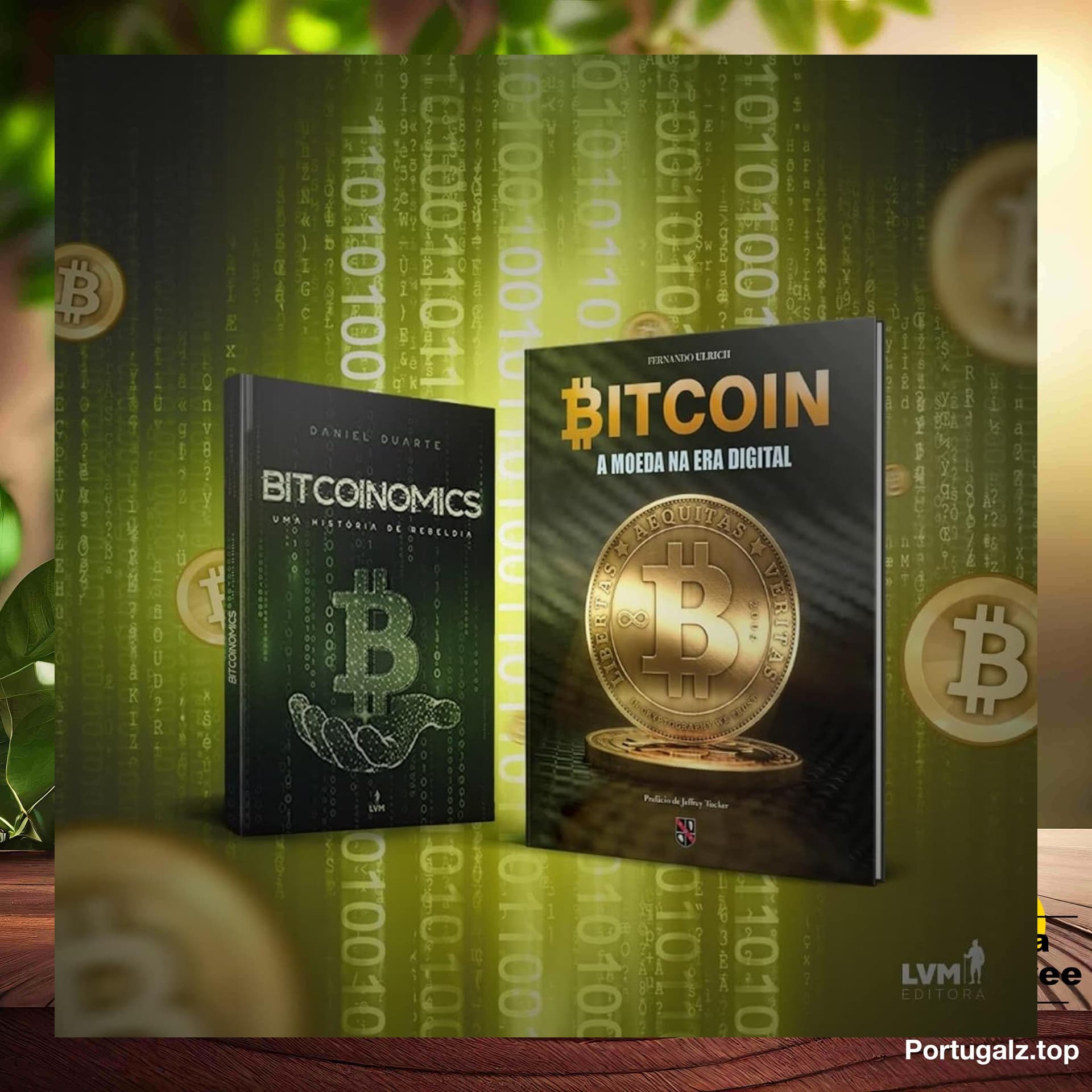 [Análises] Kit Bitcoin: Aprenda mais sobre criptomoedas (Daniel Duarte) Resumidos. — 9Natree Brazil cover