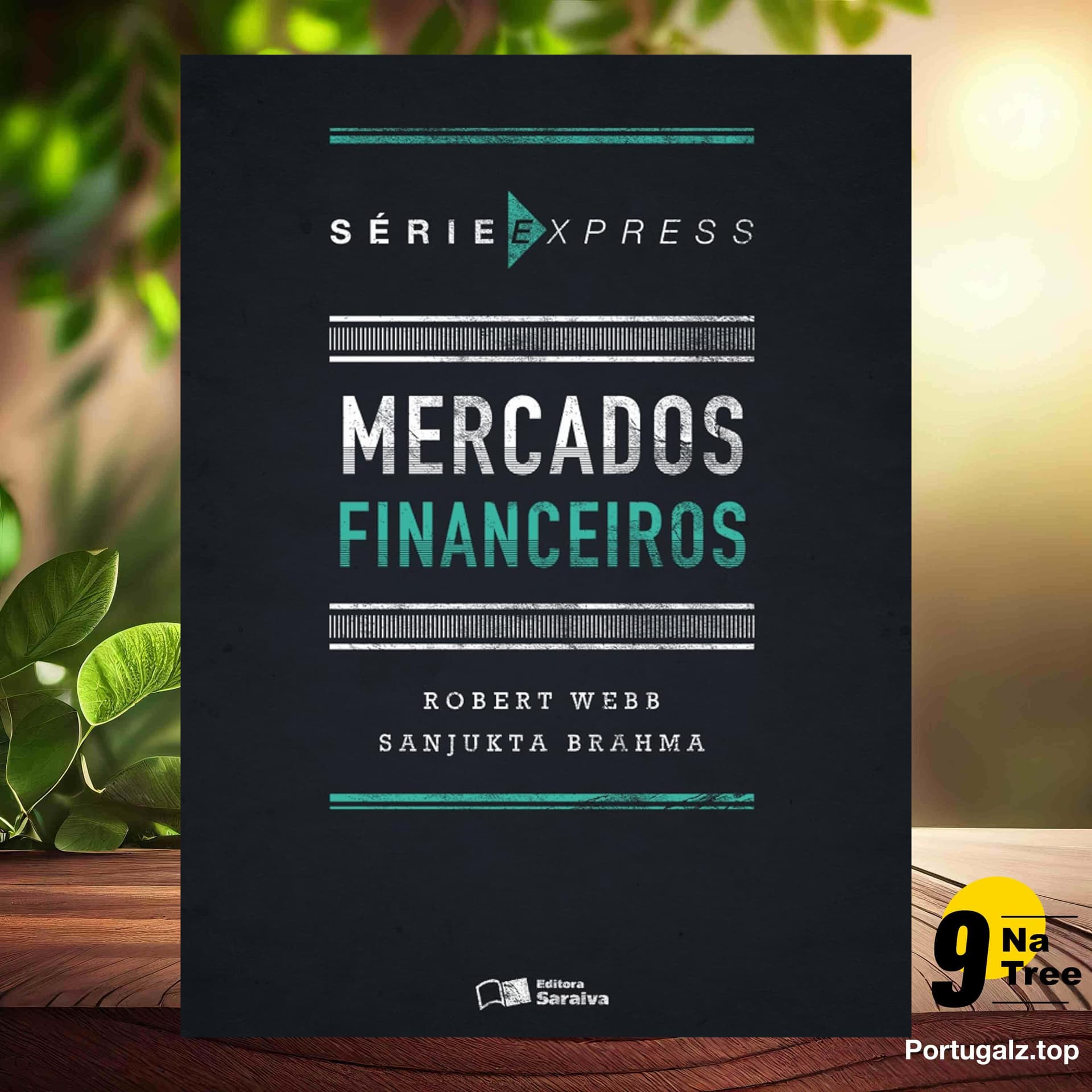 [Análises] Mercados financeiros: 1 (Robert Webb) Resumidos. — 9Natree Brazil cover