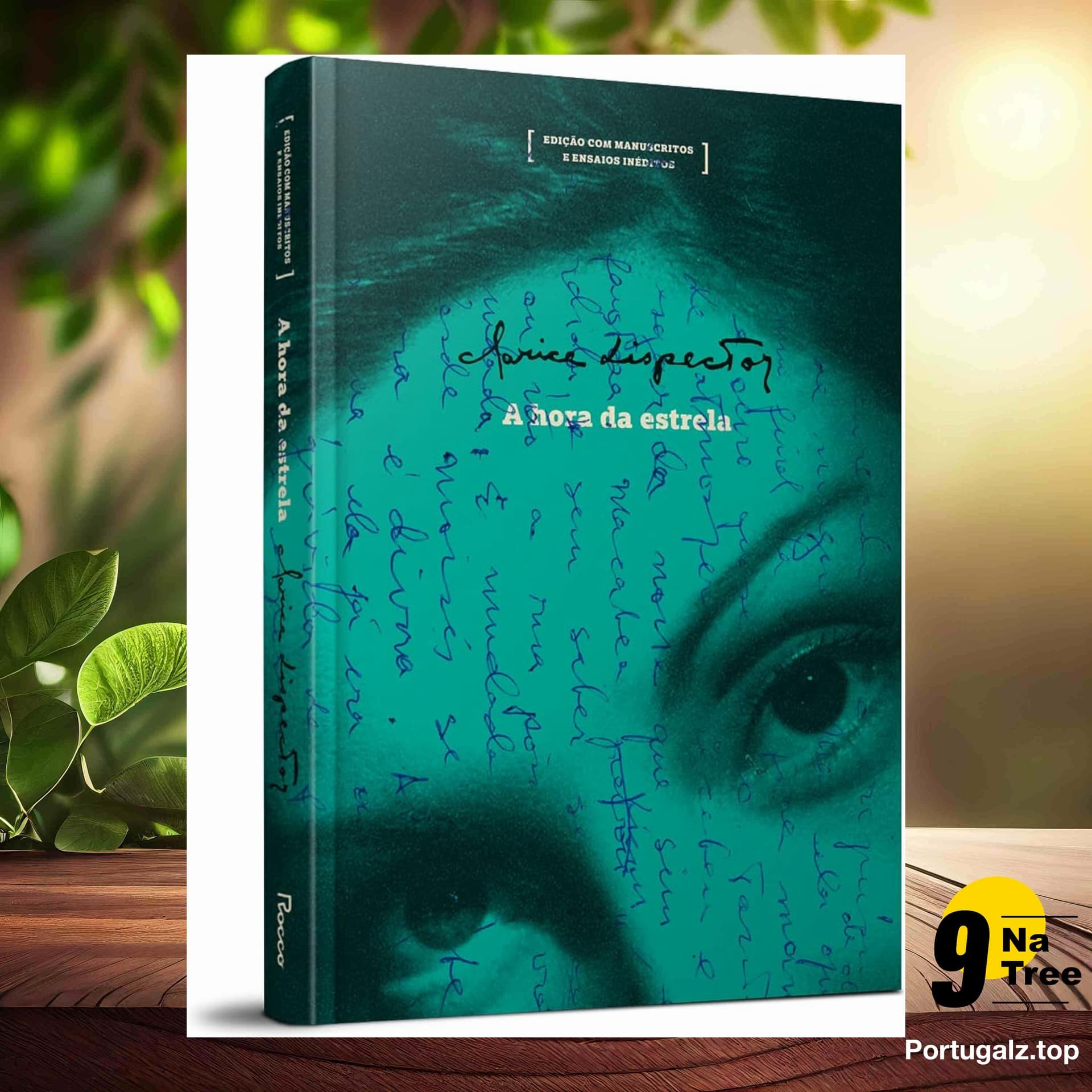[Análises] A Hora da Estrela - Edição Especial (Clarice Lispector) Resumidos. — 9Natree Brazil cover